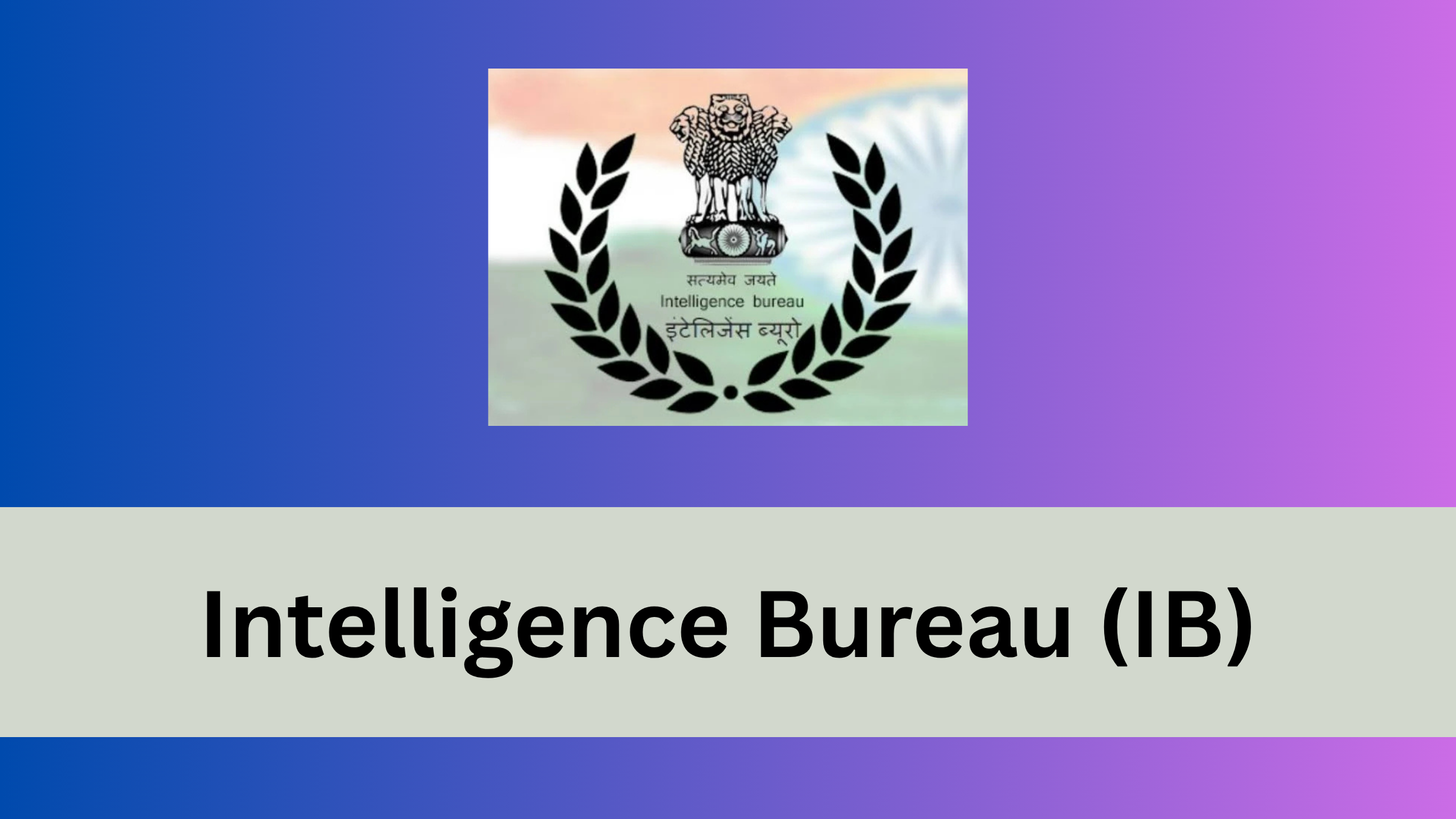 Intelligence Bureau (IB)